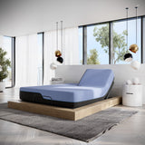 Queen 12 inch Refresh Flex Head Hybrid Cooling Fast Responding Latex Foam and Coil Mattress