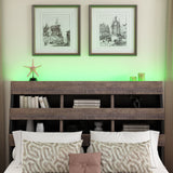 Queen 3 Piece Bedroom Set Mid Century Modern Style Frame
