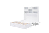 Queen Size Murphy Bed with Bookcase