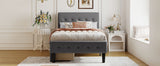 Twin Size Upholstered Platform Bed with 2 Drawers