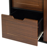 Brown Multi-use Cabinet