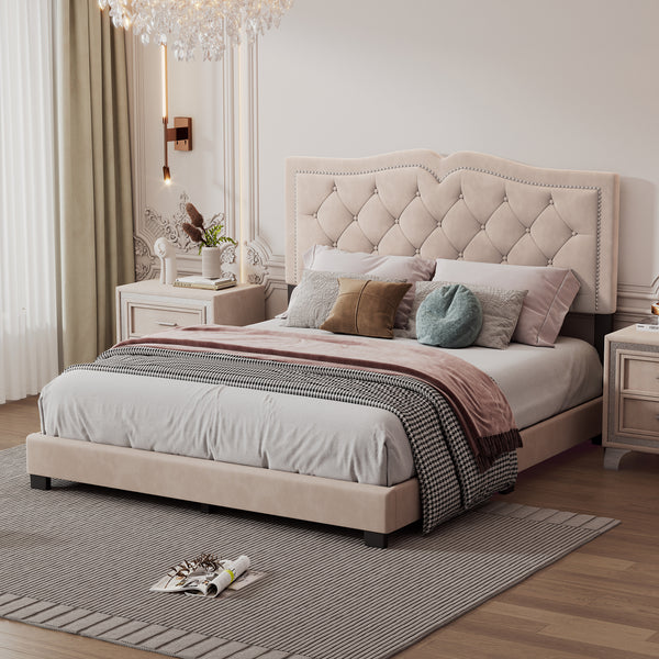 Queen Size Upholstered Bed Frame with Rivet Design