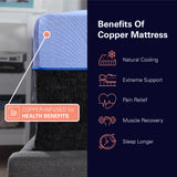 Queen 12 inch Refresh Flex Head Hybrid Cooling Fast Responding Latex Foam and Coil Mattress