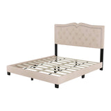 Queen Size Upholstered Bed Frame with Rivet Design