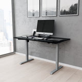 Adjustable Sit to Stand Desk
