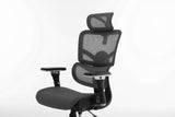 Multifunctional Mesh Office Chair - Adjustable Backrest Height, 4D Arms, Lumbar Support, Headrest and Tilt Angle - Metal Base Quiet Rubber Wheels Ergonomic High Back Computer Desk Chair (Grey)
