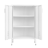 Suitable for steel storage cabinets in living rooms, kitchens, and bedrooms, 2 door miscellaneous storage cabinet, garage tool storage cabinet, and office file cabinet，2 movable partitions