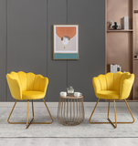 Zen Zone Velvet Accent/Conversation Lounge Chair With Iron Metal Gold Plated Legs, Suitable For Office, Lounge, Living Room, Set of 2, Yellow