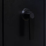 Rifle Gun Safe,Quick Access Fingerprint/Keypad Long Gun Safe, 4-5 Gun Metal Rifle Gun Security Cabinet   2 Pistols safe Lock Box.