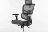 Multifunctional Mesh Office Chair - Adjustable Backrest Height, 4D Arms, Lumbar Support, Headrest and Tilt Angle - Metal Base Quiet Rubber Wheels Ergonomic High Back Computer Desk Chair (Grey)