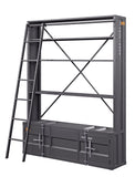 Cargo Bookshelf & Ladder, Gunmetal