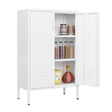 Suitable for steel storage cabinets in living rooms, kitchens, and bedrooms, 2 door miscellaneous storage cabinet, garage tool storage cabinet, and office file cabinet，2 movable partitions
