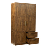 Tall Walnut wardrobe and kitchen cabinet with 2 doors, 2 drawers and 5 storage spaces