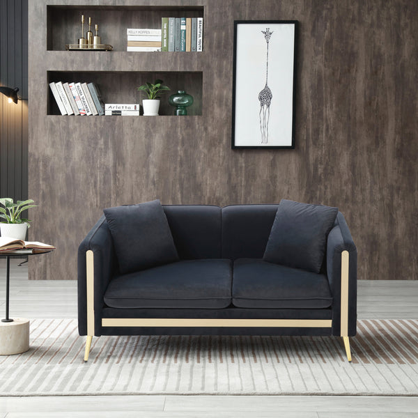 Modern Black Velvet Loveseat Sofa, Side Pocket Mid-Century Tufted, Gold Metal Legs