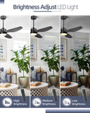Blade LED Standard Ceiling Fan with Remote Control