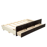 Captain's Bed Twin Daybed with Trundle Bed and Storage Drawers, Espresso