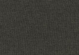 Gray Fabric Upholstered 1pc Day Bed with Pull-out Trundle Nailhead Trim Wood Frame Furniture