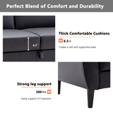 Black Folding Flat folding Sofa Bed with Storage Box
