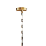 Savor 6-Light Traditional Candelabra Styled Chandelier